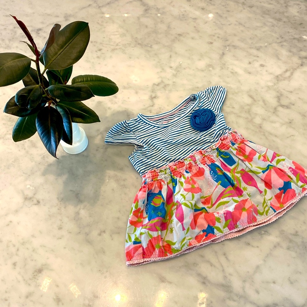 Ruffle Butts Floral Striped Dress